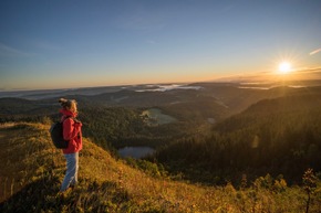 Pressemitteilung: Nachtaktiv im Süden